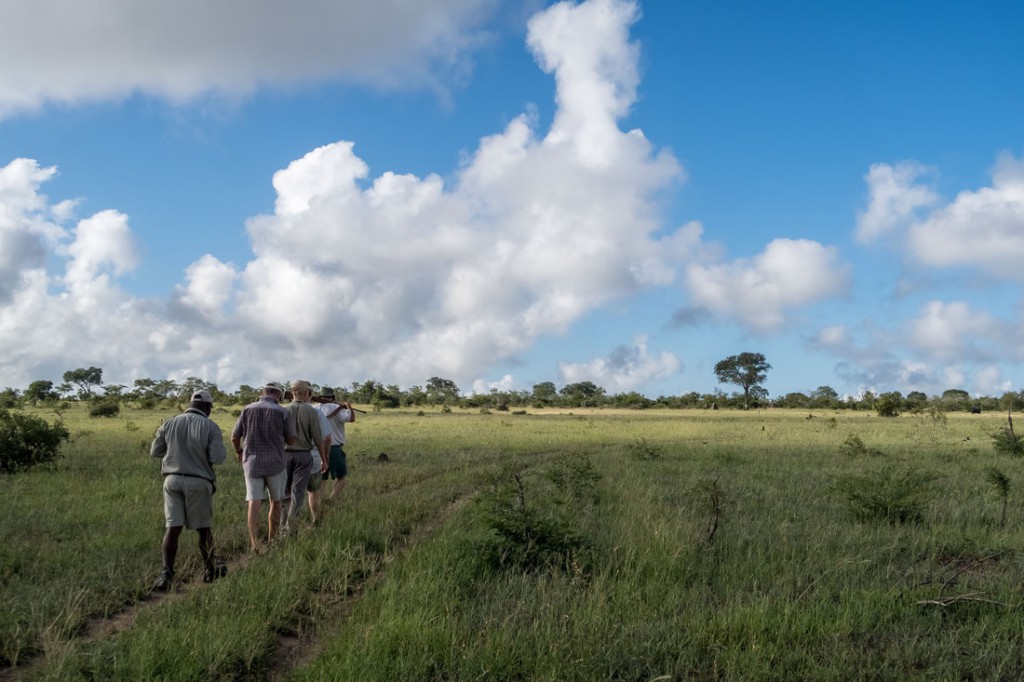 Big 5 walk
