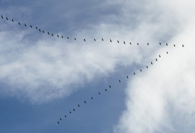 V formation flying