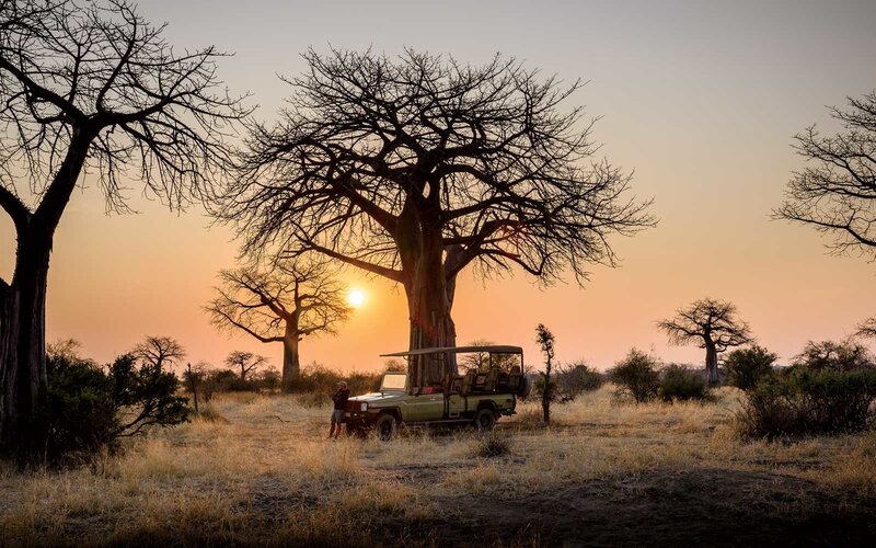 matt-cowell-safaris-view-baobob[1]