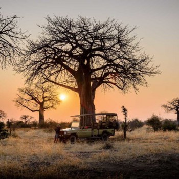 matt-cowell-safaris-view-baobob[1]